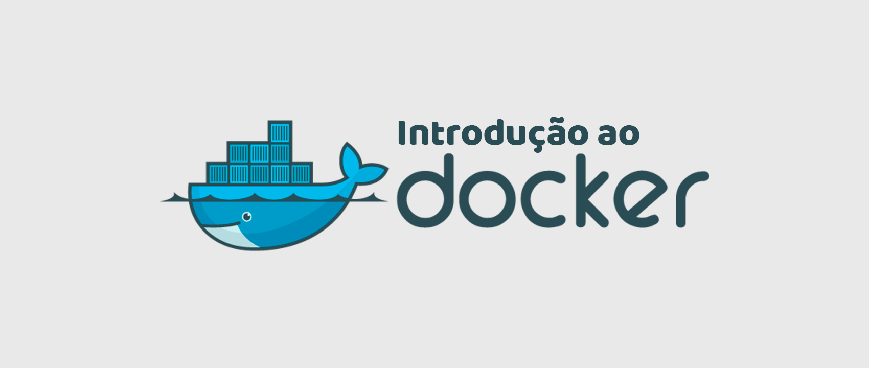 Introdução ao Docker: como utilizá-lo?